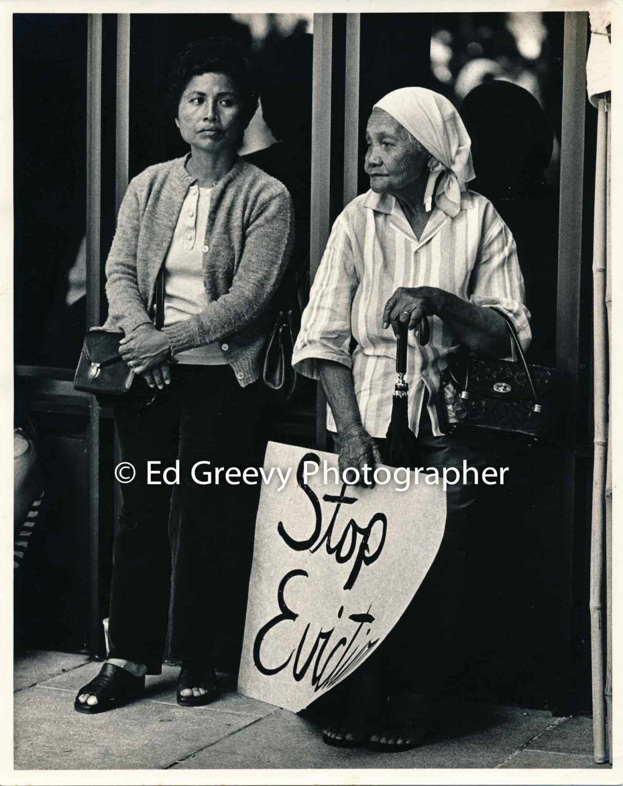 Jo Patacsil and her mother protested evictions from their home on the edge of the Heʻeia Meadowland at Stop
All Evictions protest at the state capitol (14 February 1976) Negative: 2950-4-36 | Ed Greevy Photographer