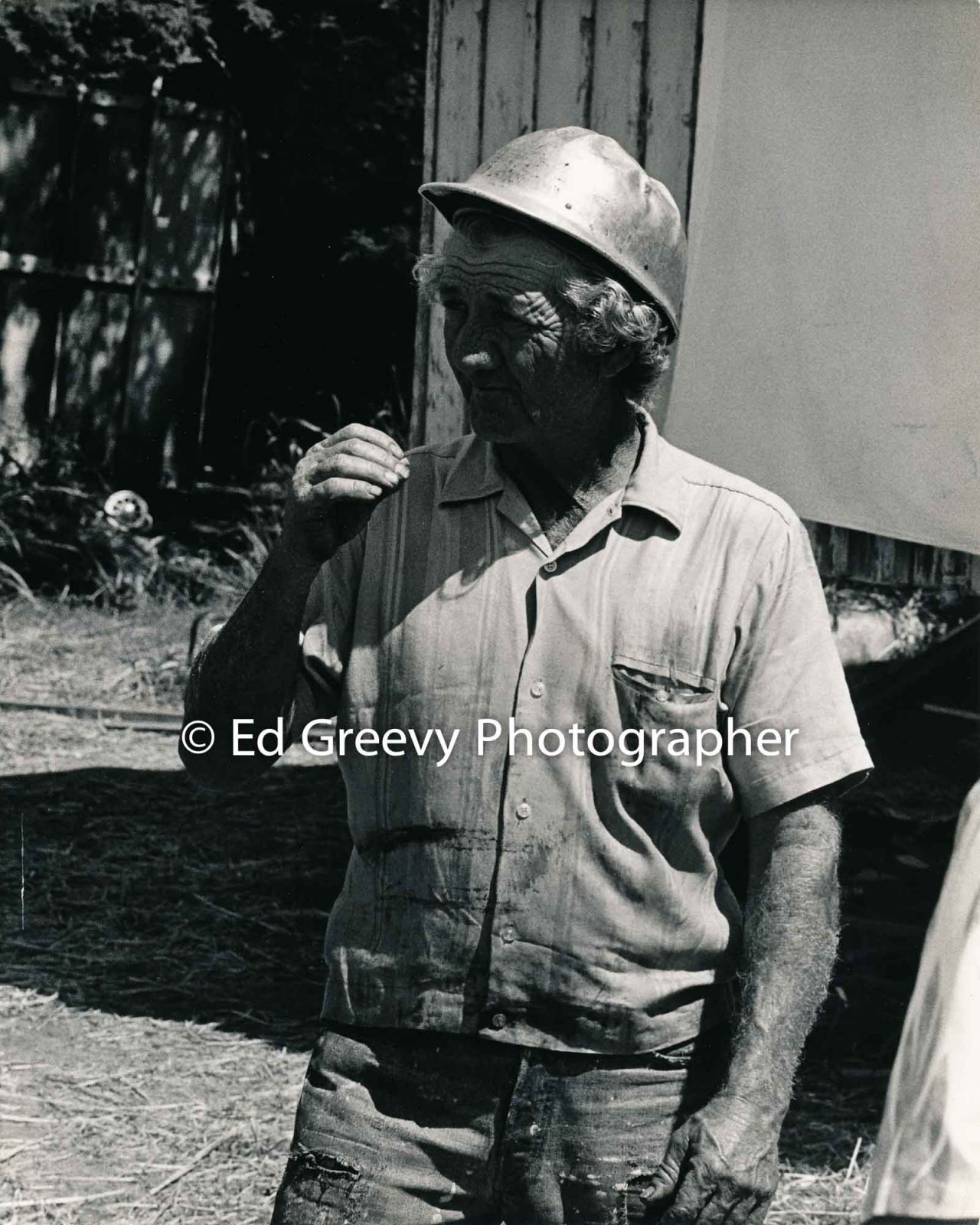 George Santos on his pig farm in Kalama Valley. (May 1971) Negative: 2358-1-4 | Ed Greevy Photographer