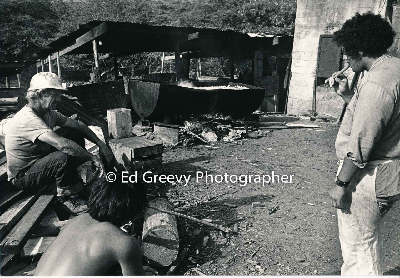 Kalama Valley pig farmer George Santos and John Saxton. (May 1971) Negative: 2343-14 | Ed Greevy Photographer