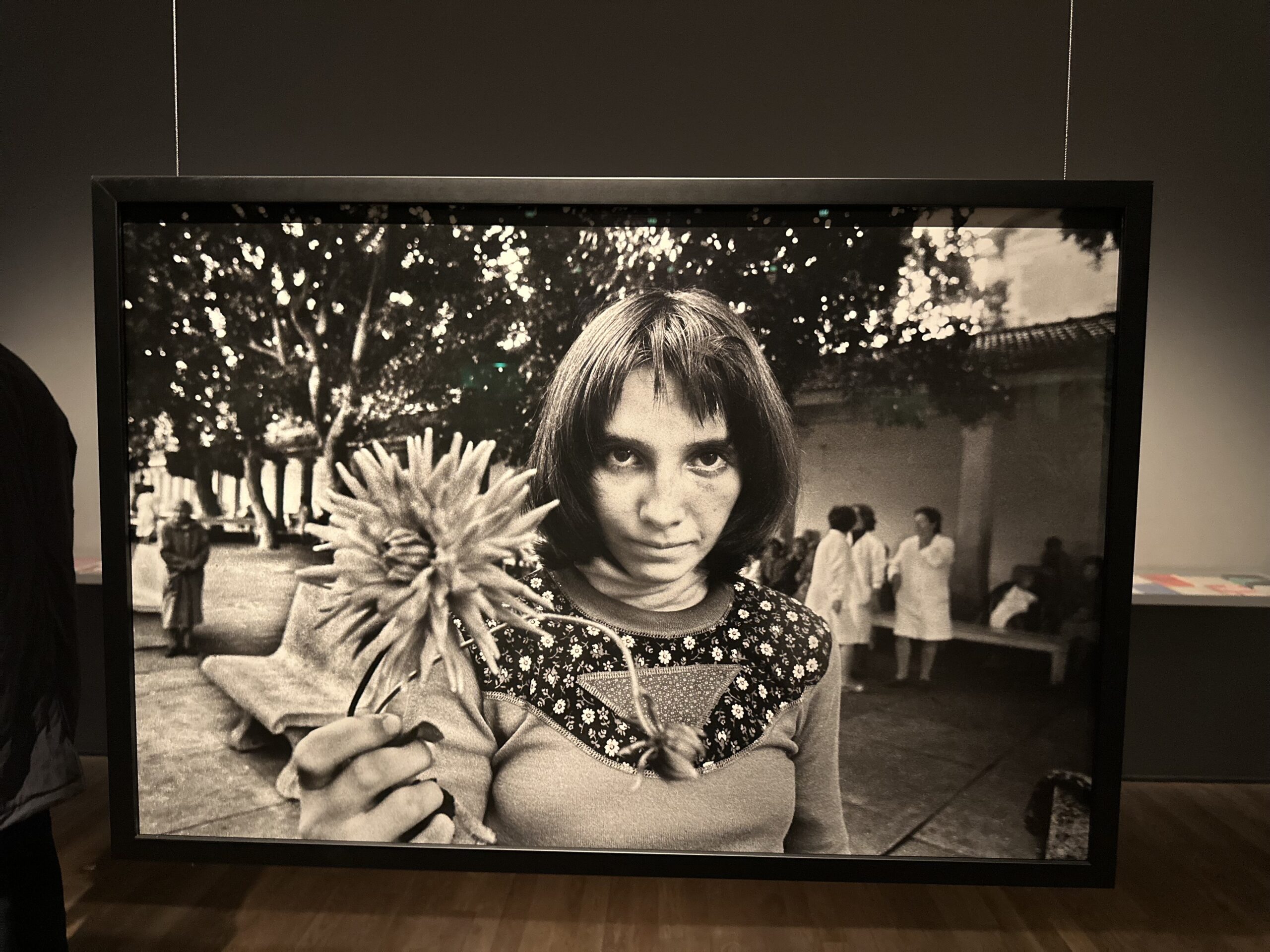 Letizia Battaglia: Life, Love and Death in Sicily